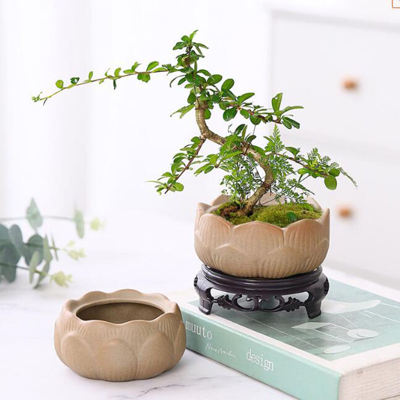 Грубая керамика, Зеленый Лотос – обзор и цена Bonsai Garden Art