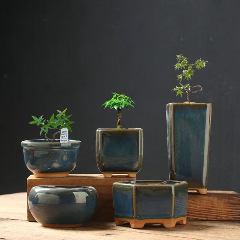 Глазурованный цветочный горшок – обзор и цена Bonsai Garden Art